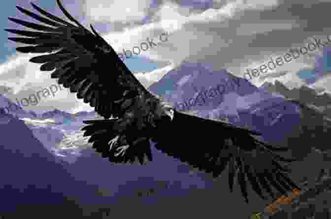 A Condor Soaring Over The Andes Mountains Nine Latin American Folk Songs (Medium High Voice): Arranged For Solo Voice And Piano For Recitals Concerts And Contests