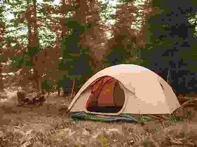 A Cozy Tent Nestled Amidst A Lush Forest At Sunset Just Camping Photos Big Of Photographs Pictures Of Tents Camping Vol 1