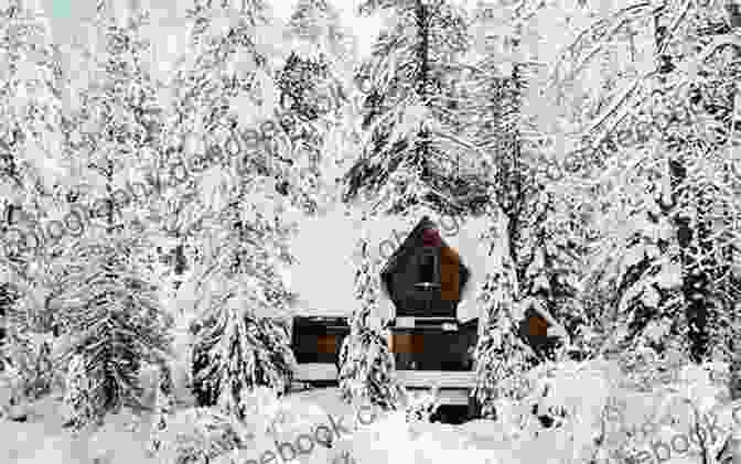 A Person Sits On A Bench Outside A Winter Cabin, Surrounded By Snow Covered Trees A Winter Cabin Christmas: A Small Town Christmas Romance Novel
