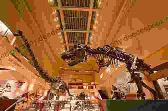 A Spacious And Well Lit Exhibit Hall Showcasing A Towering Dinosaur Skeleton, Surrounded By Fascinated Visitors. In The Museum Of Man: Race Anthropology And Empire In France 1850 1950