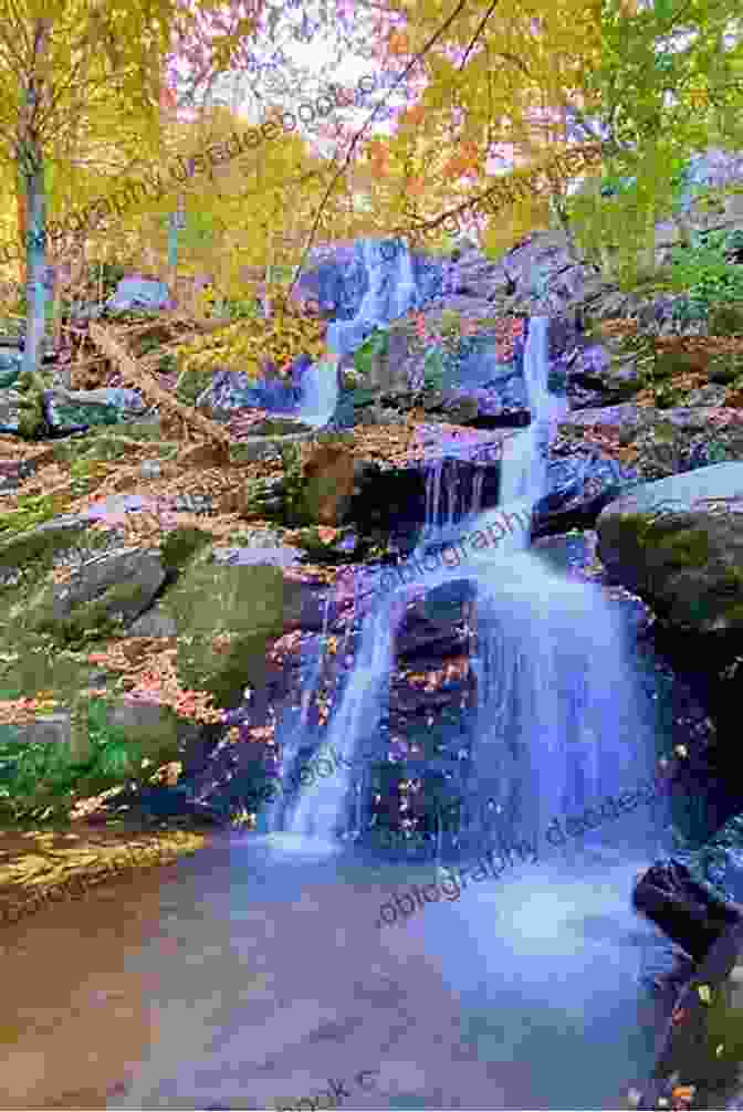 Close Up Of A Cascading Waterfall In Shenandoah National Park, Surrounded By Lush Greenery Virginia Travel Guide With 100 Landscape Photos