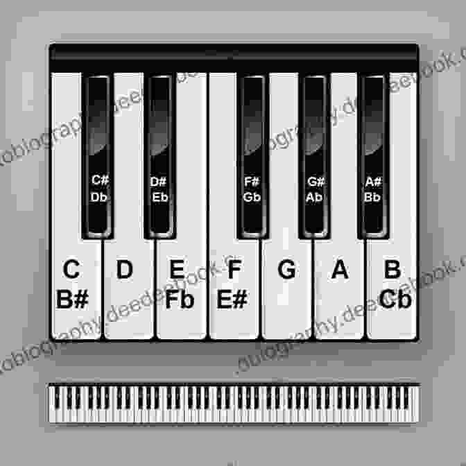 Diagram Of A Piano Keyboard With Keys Labeled Alfred S Basic Piano Prep Course Lesson D: Learn How To Play From Alfred S Basic Piano Library
