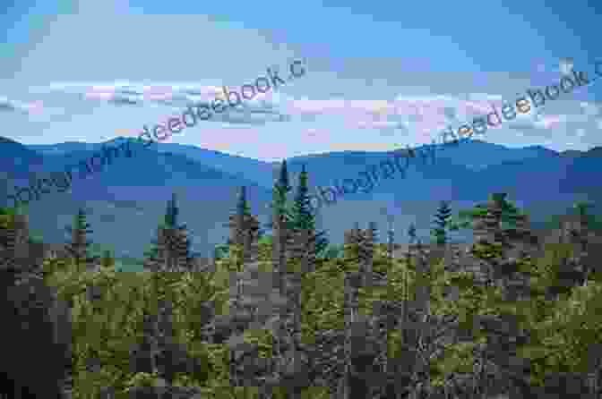 Panoramic View Of The White Mountains Explorer S Guide 50 Hikes North Of The White Mountains (Explorer S 50 Hikes 0)