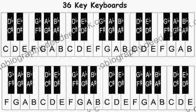 Piano Keyboard With Clearly Labeled Keys Alfred S Basic Piano Library Theory 5: Learn How To Play Piano With This Esteemed Method