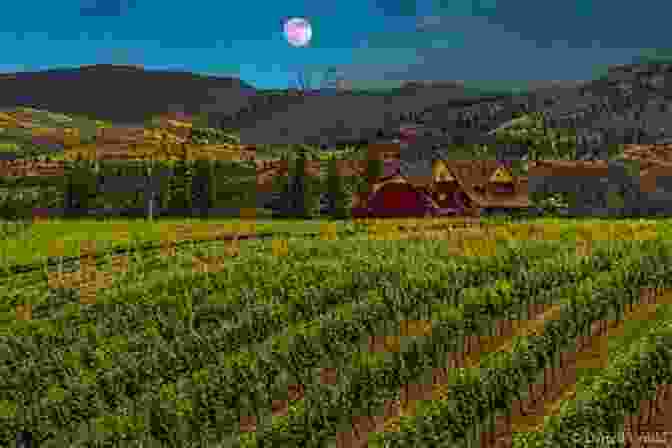 The Panoramic View Of The Vineyard At Painted Moon With Lush Vineyards, Rolling Hills, And A Quaint Stone Farmhouse In The Background The Vineyard At Painted Moon: A Novel