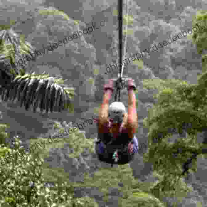Zip Swings Through The Rainforest Canopy, Surrounded By Lush Greenery And Exotic Animals. Poof A Bot : Ready To Read Ready To Go (The Adventures Of Zip)