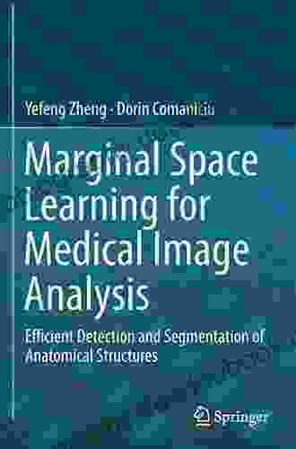Marginal Space Learning For Medical Image Analysis: Efficient Detection And Segmentation Of Anatomical Structures