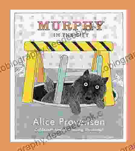 Murphy In The City Alice Provensen