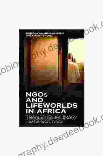 NGOs And Lifeworlds In Africa: Transdisciplinary Perspectives