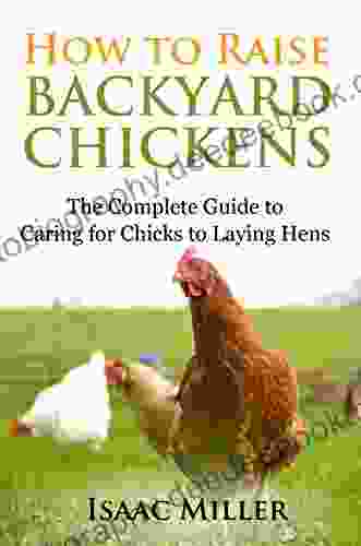 How To Raise Backyard Chickens: The Complete Guide To Caring For Chicks To Laying Hens